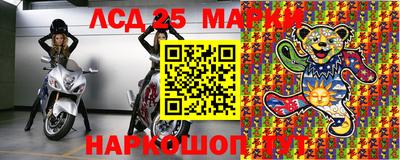 стафф Можга